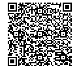 Example Image